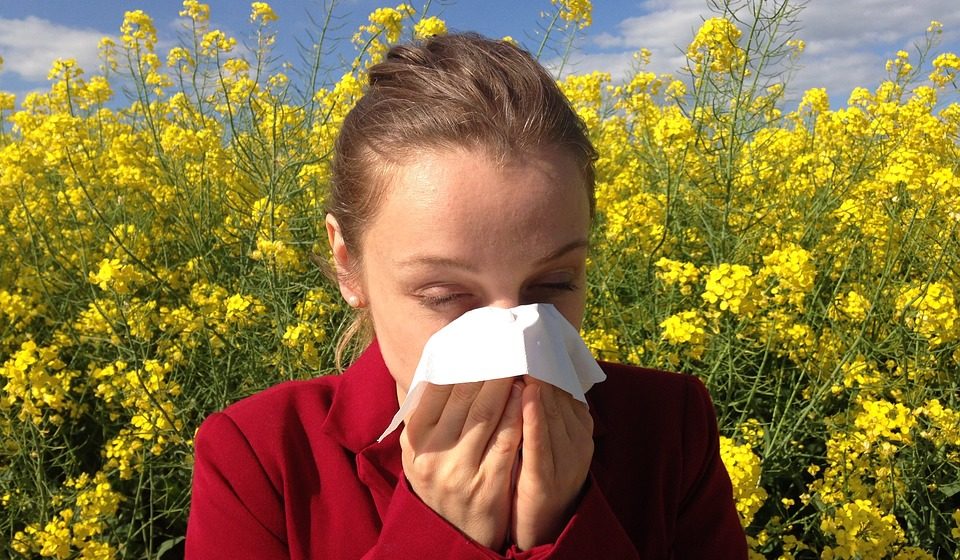 Cómo afectarán las alergias primaverales a trabajadores y empresas
