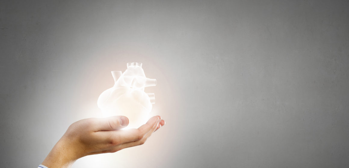 corazón CÓMO CONSEGUIR TENER UN CORAZÓN MÁS FUERTE Y SANO