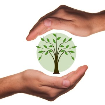protect-450594_960_720 Alrededor de 2.000 euros al año por cuidar del medioambiente