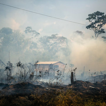 LA TASA DE DEFORESTACIÓN DE LA AMAZONÍA SE HA INCREMENTADO UN 30% EN EL ÚLTIMO AÑO