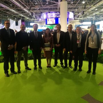 LA FUNDACIÓN PRIVADA EMPRESA & CLIMA PRESENTA EN LA COP25 LA 10ª EDICIÓN DE SU INFORME DE SITUACIÓN DE LAS EMISIONES DE CO2 EN EL MUNDO – AÑO 2017