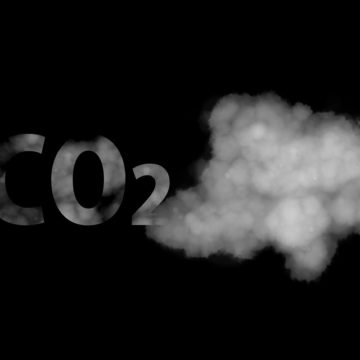 28 de enero: Día Mundial por la reducción de las emisiones de CO2 ¿CÓMO AFECTA LA CONTAMINACIÓN A NUESTRA SALUD CEREBRAL?