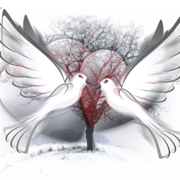peace-dove-588991_1920 30 DE ENERO: DÍA DE LA PAZ Y LA NO VIOLENCIA