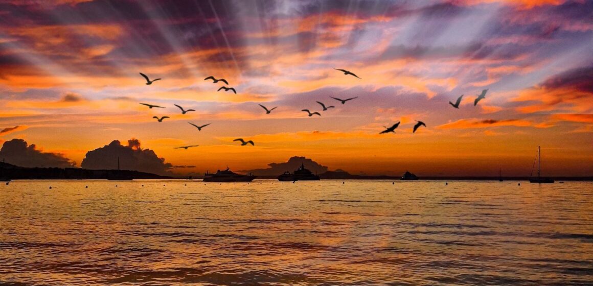 Ángela Hernández Parras. SEIS IMÁGENES DE LAS ISLAS BALEARES PASAN A LA FINAL ESTATAL EN EL SEXTO CERTAMEN DE FOTOGRAFÍA EN INSTAGRAM “MI RINCÓN FAVORITO”